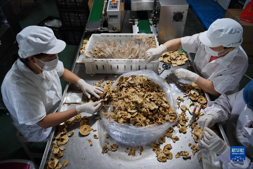 浩博登录网址
